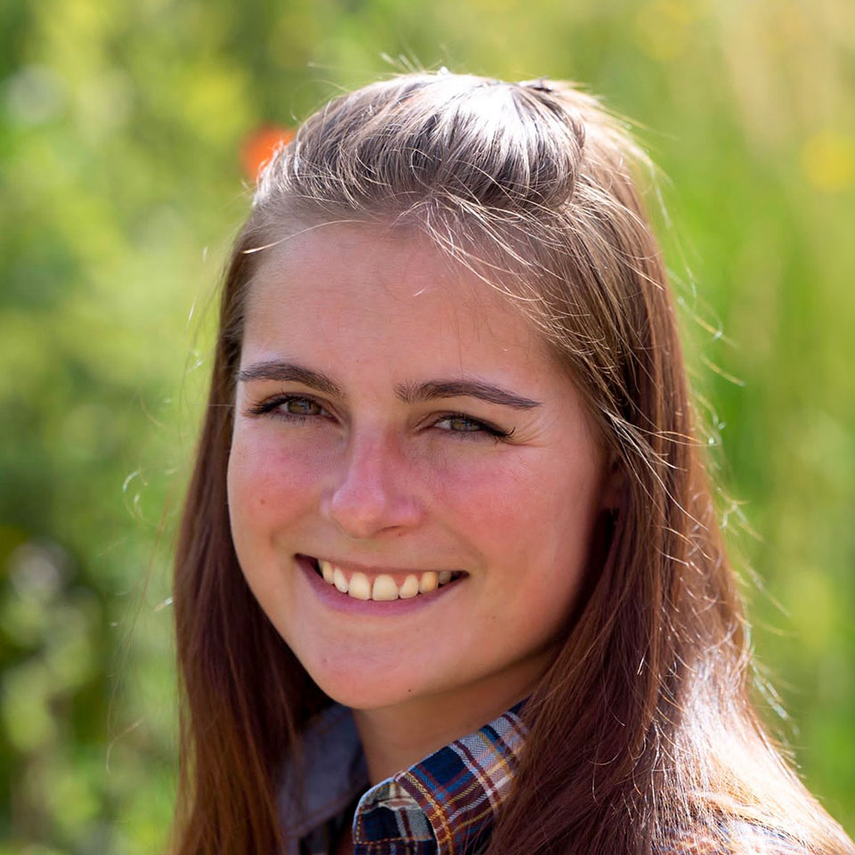 stellvertretende leitung